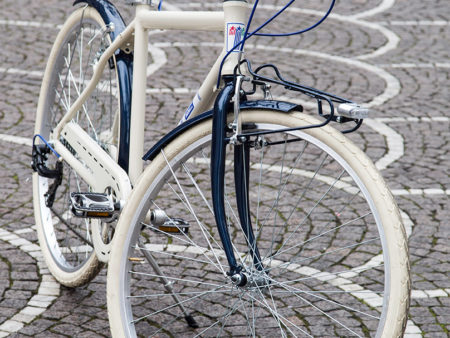 Cicli Brianza Telethon Top Dettaglio 04